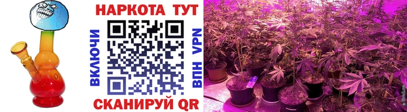 Где продают наркотики Чадан ГАШ  MEGA сайт  Вейп ТГК  Мефедрон  Амфетамин  A-PVP 
