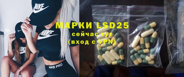 apvp Иннополис