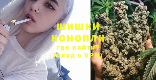 apvp Иннополис