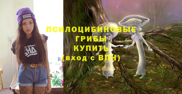 хмурый Каменногорск