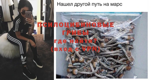 а пвп мука Инсар