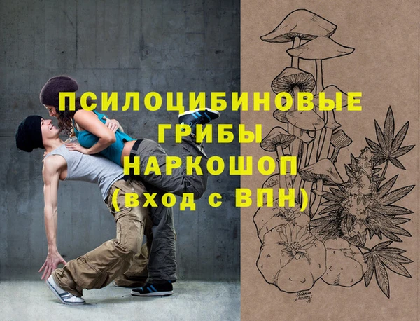 мескалин Инта