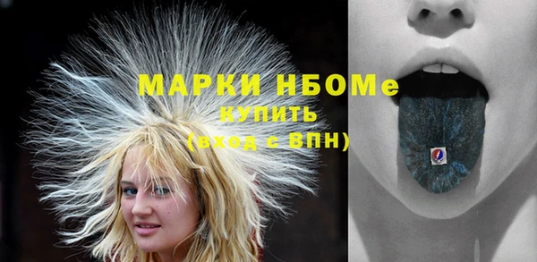 хмурый Каменногорск