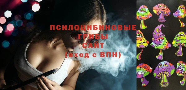 apvp Иннополис