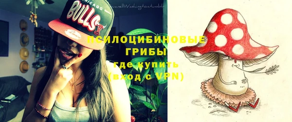 apvp Иннополис