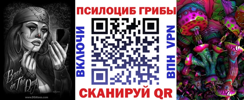 Псилоцибиновые грибы MAGIC MUSHROOMS kraken сайт Чадан